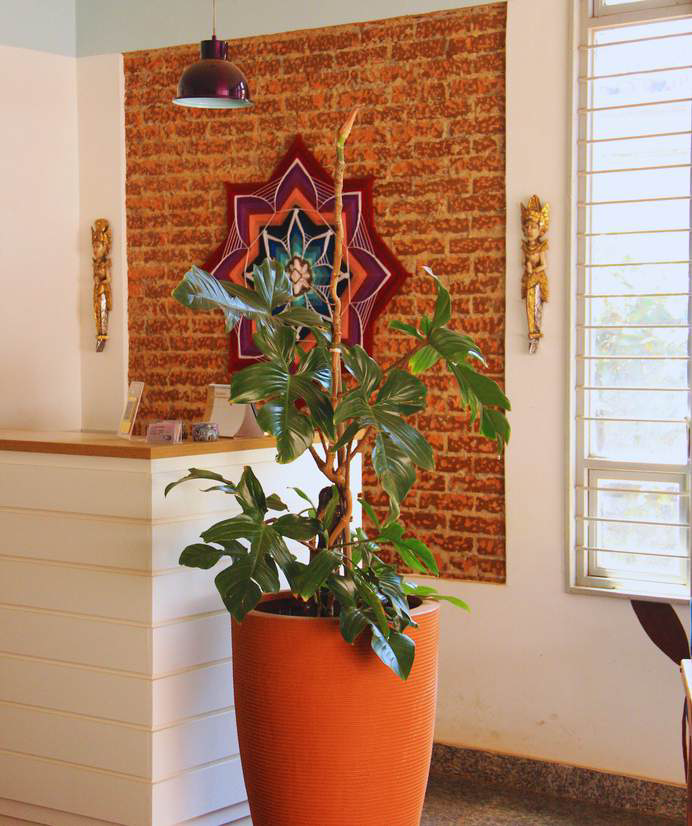 Interior da Casa Sinergia